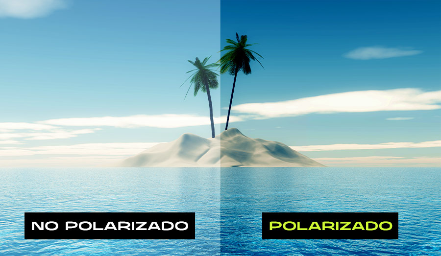 Polarizado